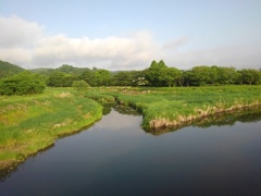 川の交わる地点（5月20日）