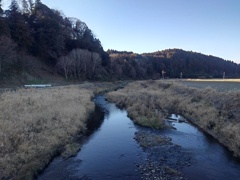 水が綺麗な川（12月30日）