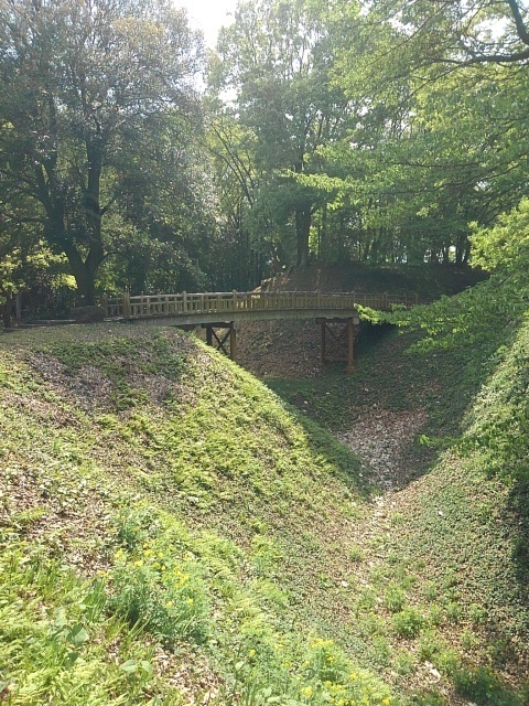 木製の橋（4月26日）