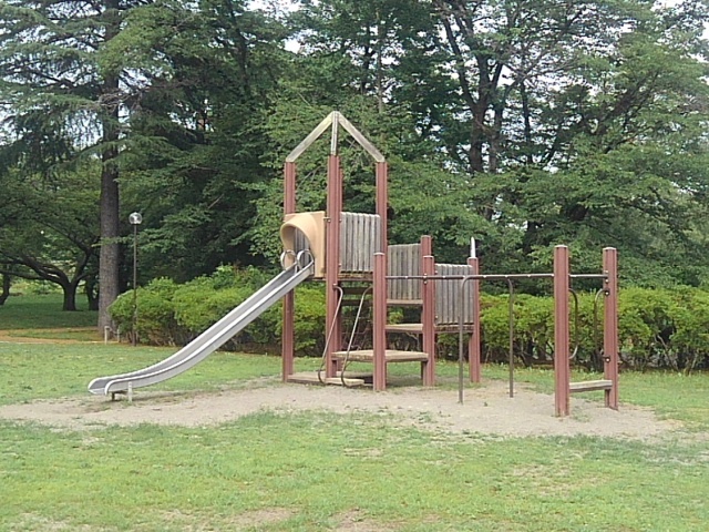 新しめの遊具（7月5日）