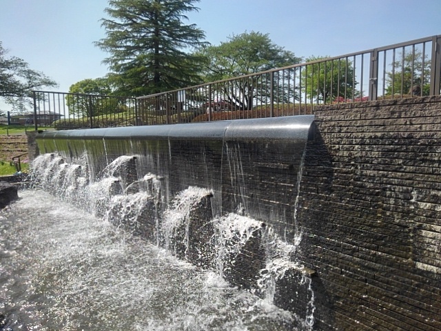 人工池の水流（4月28日）