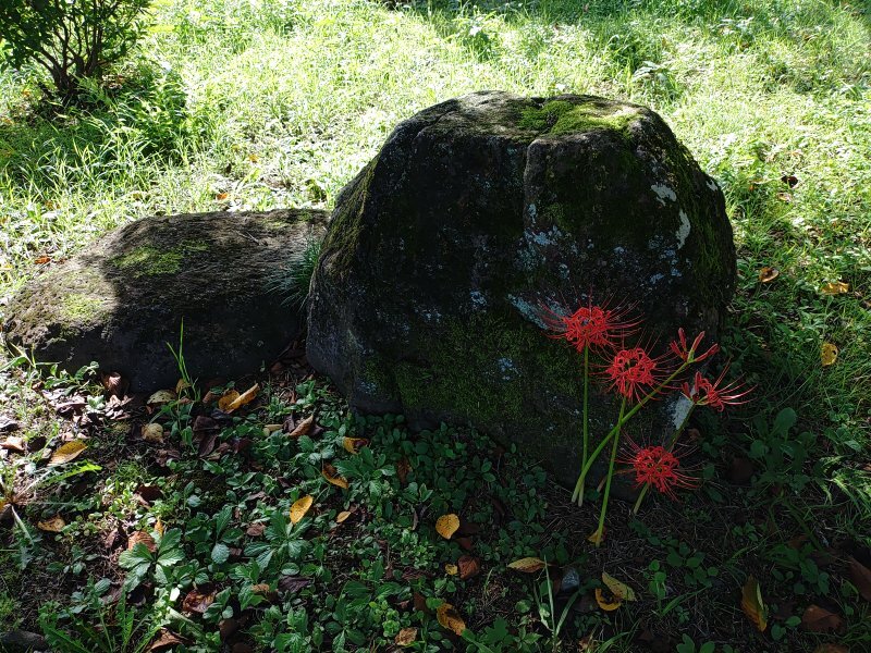 長峰公園の岩のオブジェ（9月19日）