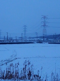 雪が積もった水田（3月5日）