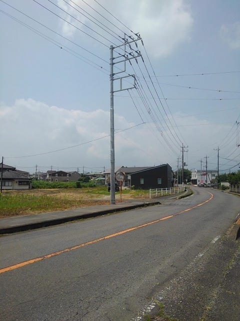 電柱（7月7日）
