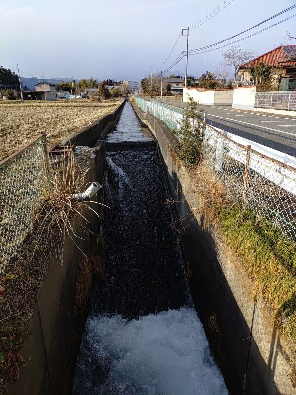 堰のある用水路（1月20日）