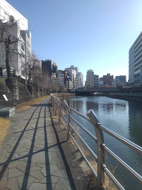 川の近くの歩道（2月7日）