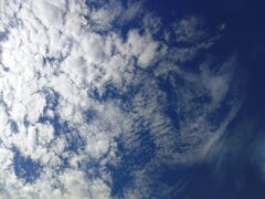 鱗雲のある青空（8月13日）