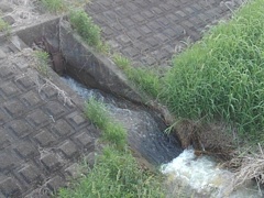 川に注ぐ用水路の水（5月28日）