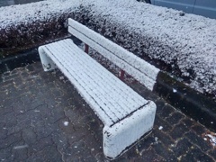 雪が積もったベンチ（2月8日）