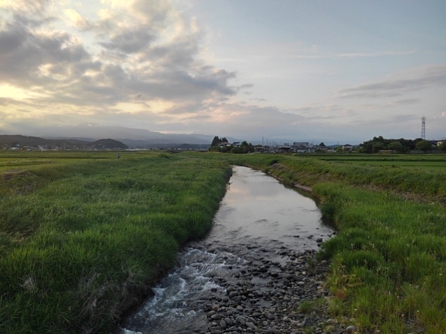 橋の上からの川（5月28日）