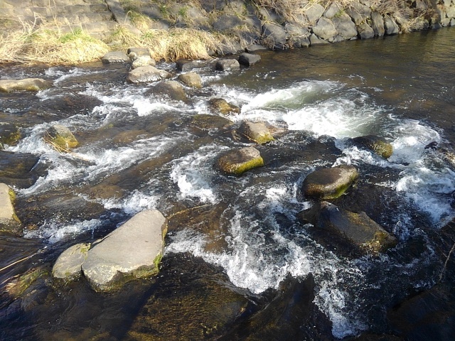 激しい水飛沫（3月1日）