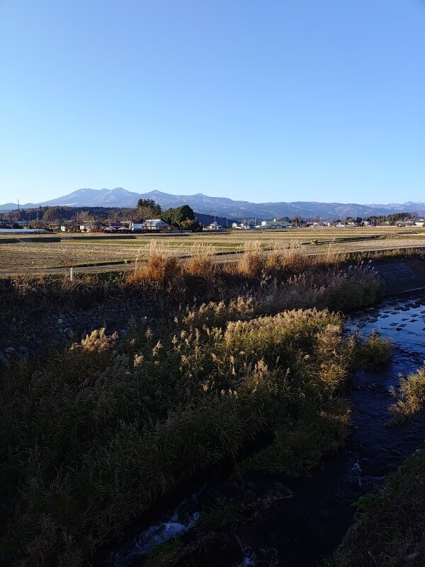 山並みと川の土手（12月6日）