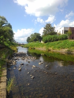 岸辺からの川（8月3日）