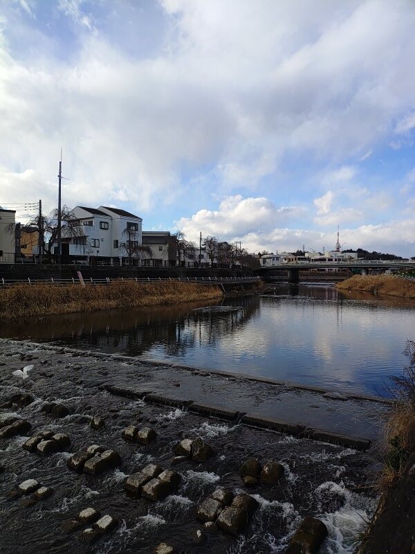 宇都宮の川の堰と水面の映り込み（1月23日）