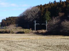 水田と線路（1月5日）