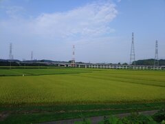 水田と鉄塔と新幹線ガード（8月24日）