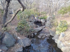 那須野が原公園の小川と滝（3月1日）