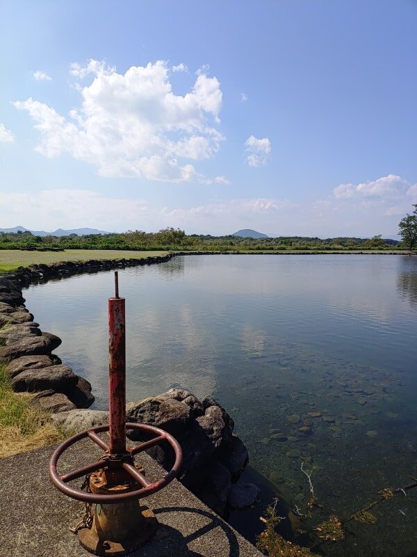 水門と池の映り込み（8月30日）