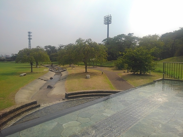 長峰公園の小川のある広場（8月5日）