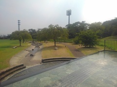長峰公園の小川のある広場（8月5日）