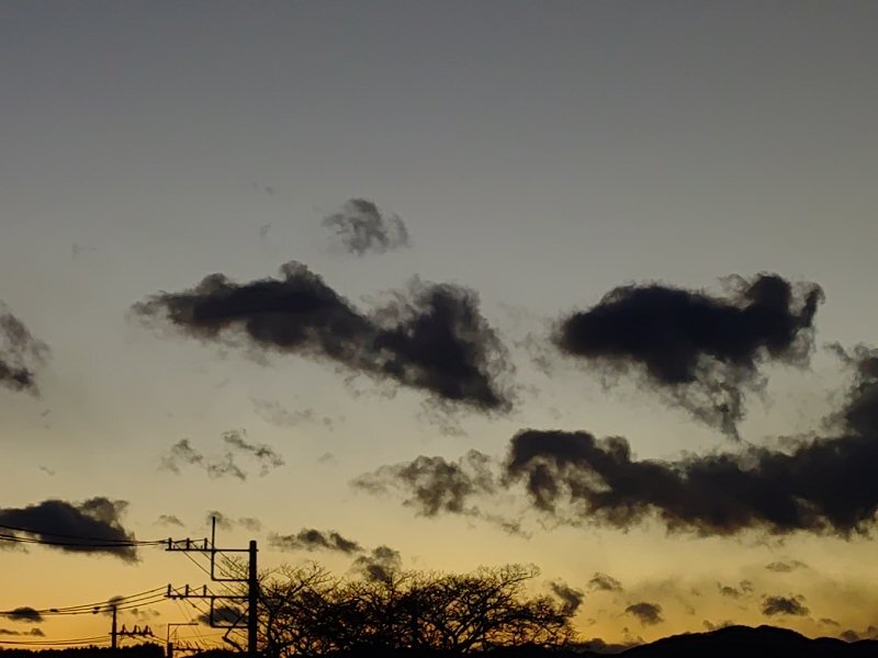 夕日（1月22日）