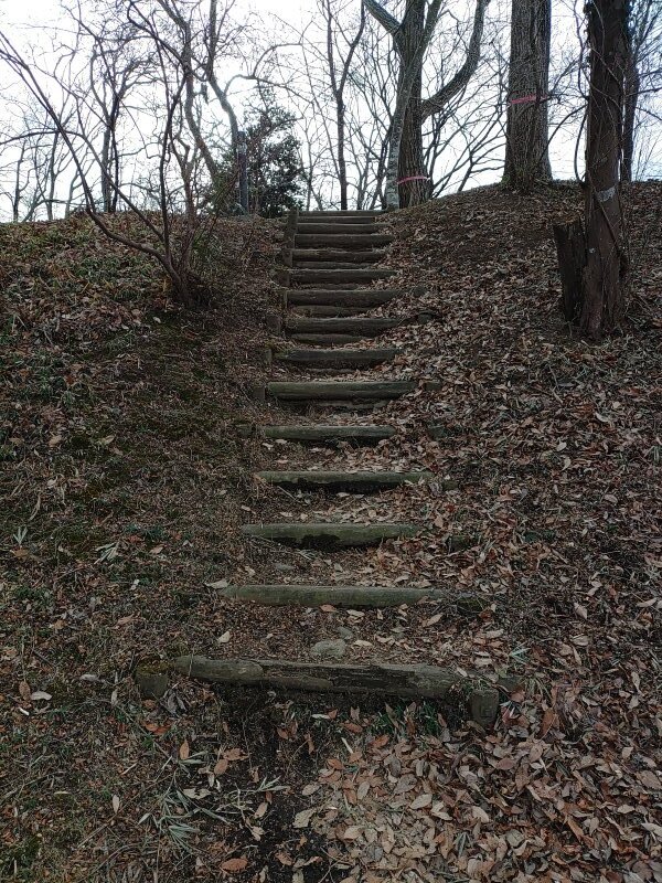 ゆうゆうパークの丘の落ち葉の階段（1月2日）
