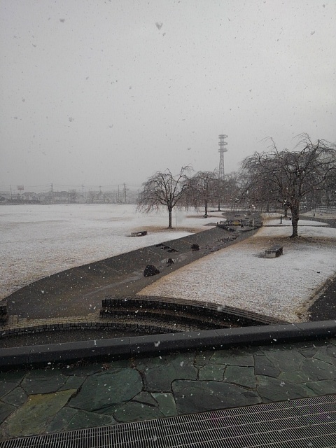 長峰公園の小川広場（2月8日）