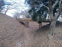 丘の落ち葉のカーペットと陸橋（1月3日）