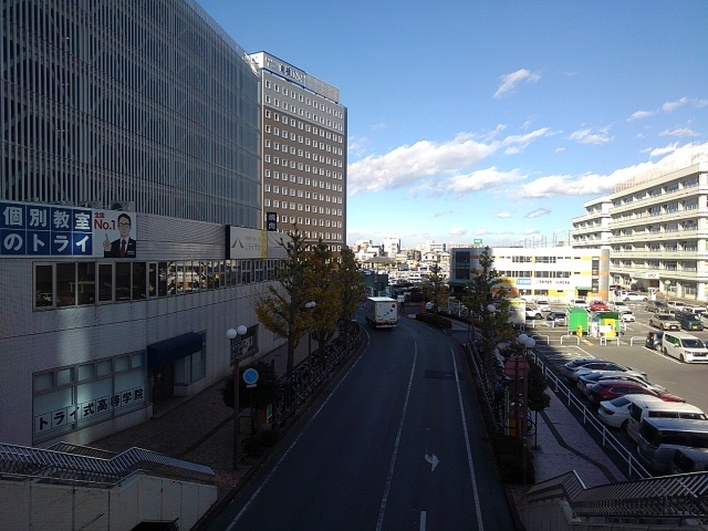 歩道橋から見えたイチョウ並木と市街地の景色（12月6日）