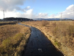 橋の上からの川（12月14日）