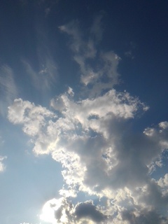 澄んだ青空（6月28日）