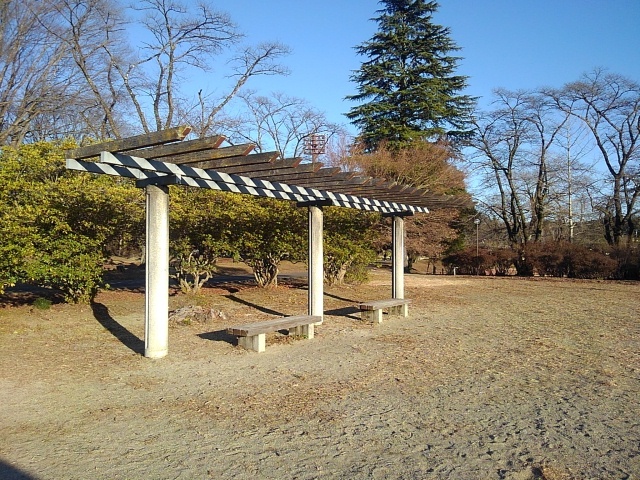 長峰公園の格子の休憩所（1月1日）