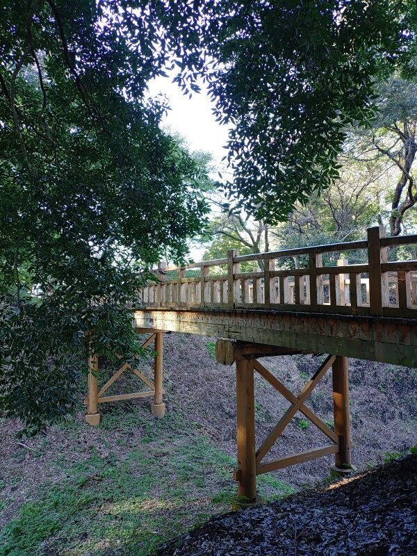 近くから見えた陸橋（10月27日）