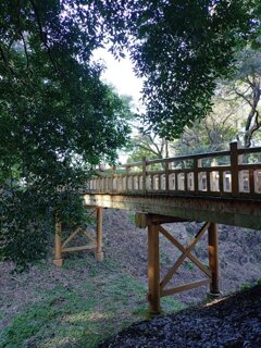 近くから見えた陸橋（10月27日）