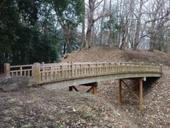 ゆうゆうパークの丘の木製の橋（1月2日）