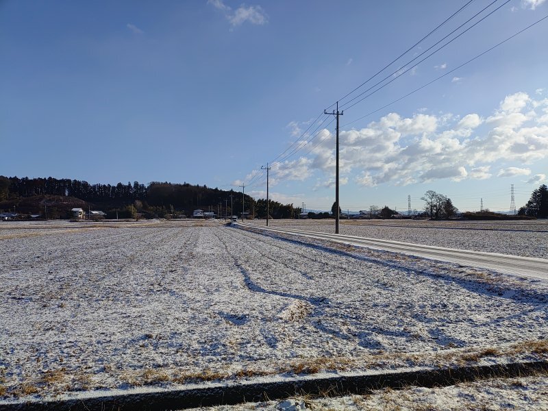 雪の水田（2月9日）
