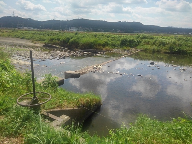 堰の上の映り込みの水面（7月31日）