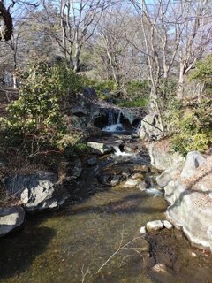 那須野が原公園の滝のある小川（2月21日）