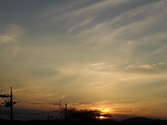 夕日（2月3日）