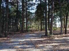森の道（12月9日）