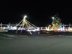 片岡駅のロータリーのツリーイルミ（12月10日）
