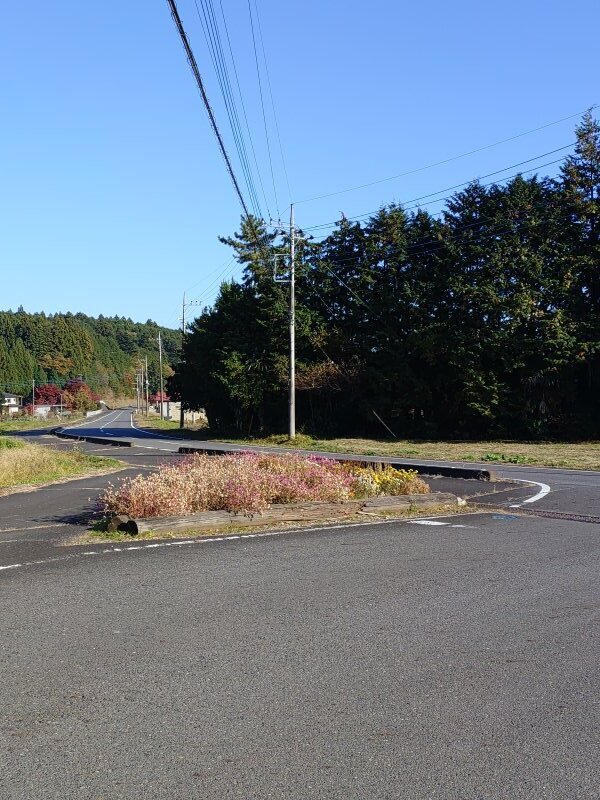 花壇のある道路（11月17日）