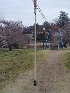 長峰公園のターザンロープ（4月5日）