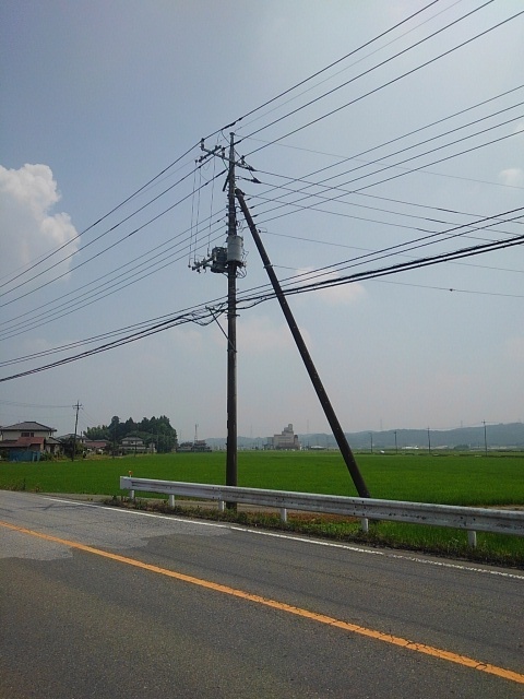 電柱（7月9日）
