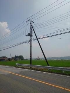 電柱（7月9日）