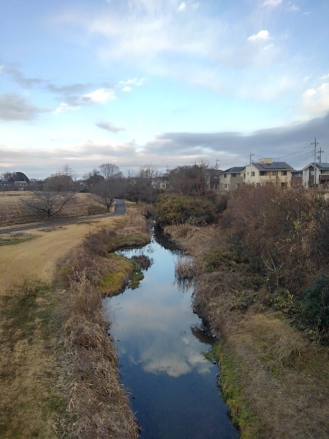 高所からの小川（1月3日）