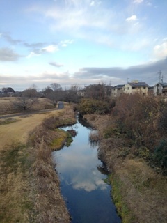 高所からの小川（1月3日）