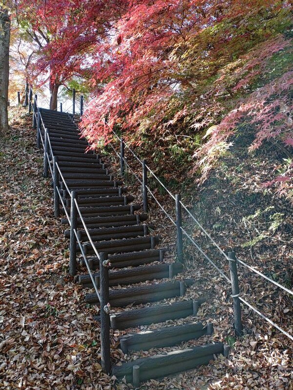 川崎城跡公園の丘の階段（11月21日）