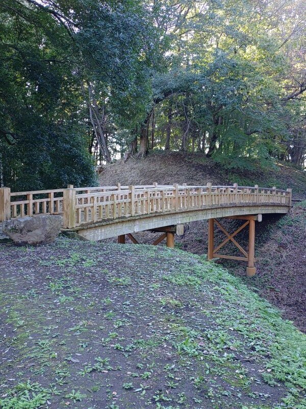 森の橋（10月27日）