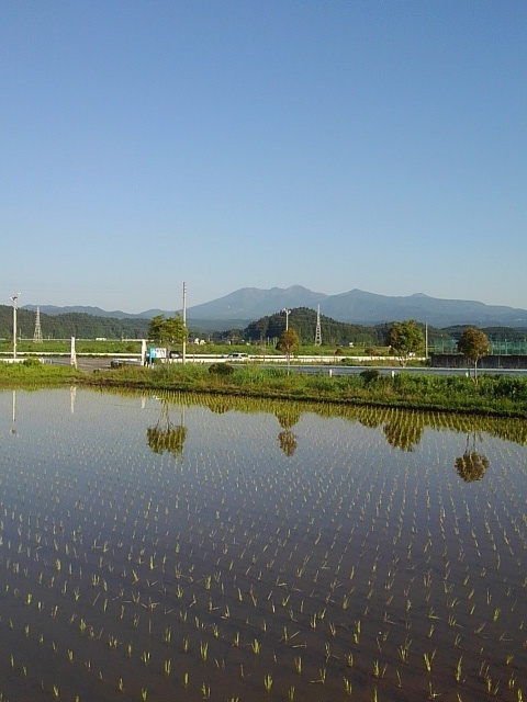 コンビニの駐車場から見えた水田と山（6月5日）